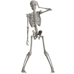 skeleton posing 3d render illustration