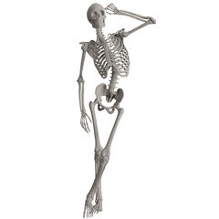 skeleton posing 3d render illustration