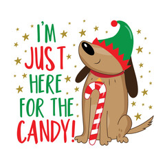 Fototapeta premium I'm just here for the candy - funny slogan and elf dog, with candy cane. Good for T shirt print, poster, card, label, and other gifts design for Christmas.