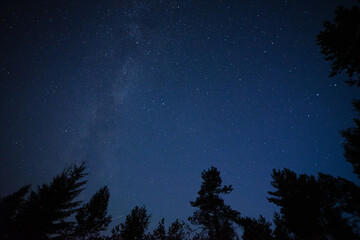 The starry sky in the forest. The Milky Way in the night sky. Look at the stars.