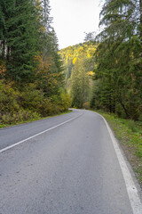 Fototapeta na wymiar Landscape road in the Carpathians