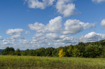 Wśród łąk i pól 