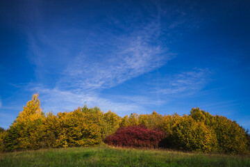 Landscape autumn field with colourful trees, autumn Poland, Europe and amazing blue sky with clouds, sunny day	