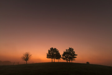 Fototapeta na wymiar Landscape trees on the hill in sundown in dark warm sky, Poland Europe