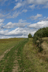 Panorama  pola i łąki  i droga