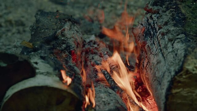 Small forest campfire. Burning firewood in campfire site. Slow motion.