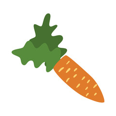 Flat Carrot Illustration