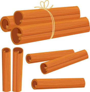 Cinnamon Sticks On White Background. Vector Illustration