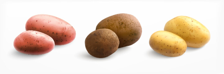 Realistic Potato Types Set