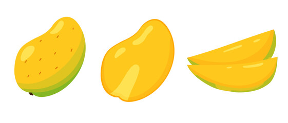 Mango fruit vector illustration set of elements