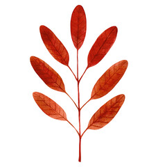 Red watercolor leaf. Colorful hand drawn botanical elemеnt