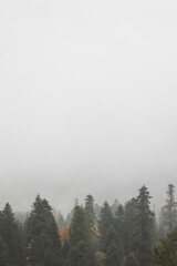 autumn and fog in the mountains. vertical photo. Photo wallpaper with mountain view, space for text