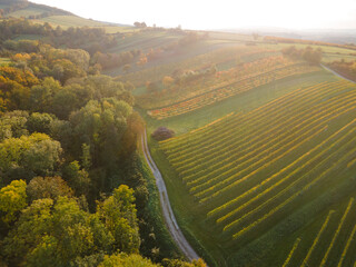 drone flight over colorful autumn landscape in october in lower austria near vienna forest