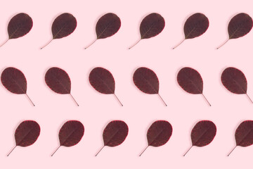 jesienny liść 10 deseń