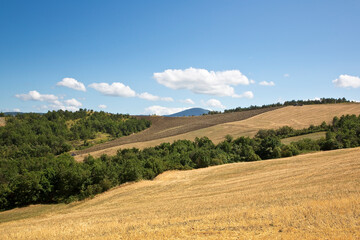 Fototapeta na wymiar Beautiful tuscan countryside with cut grain hills and trees on background in summertime - Tuscany - Italy