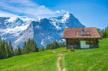 Hiking pass from Grindelwald to First mount, Switzerland.
