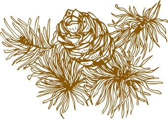 cones on a branch hand-drawn, vector illustration