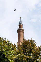 Hagia Sophia mosque view from different angles. istanbul