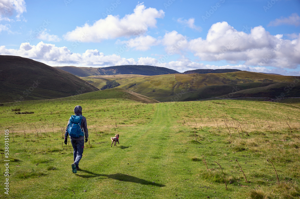 Poster A female hiker and their dog descending from Windy Gyle towards Trows in the Cheviot Hills, Northumberland, England, UK.