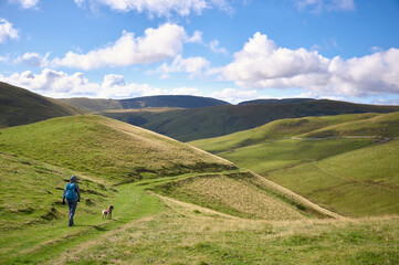 A female hiker and their dog descending from Windy Gyle towards Trows in the Cheviot Hills, Northumberland, England, UK.