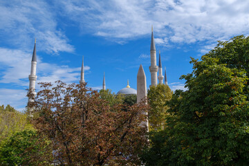 Blue cloudy sky in the distance through the trees Blue mosque in istanbul, obelisk in front