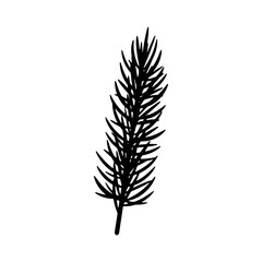 Black silhouettes pine branches on white background. Isolated vector elements for banner, poster or package decoration.