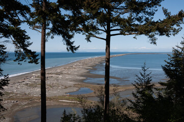 Panoramic shot of Dungeness Spit from forest, Olympic Peninsula, USA