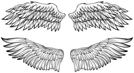 Obraz premium Bird wings illustration tattoo style. Hand drawn design element.