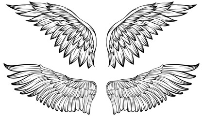Obraz premium Bird wings illustration tattoo style. Hand drawn design element.