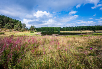 Tour du Lac de Charpal