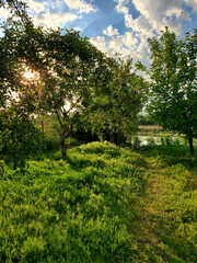 River side landscape with green grass springtime nature