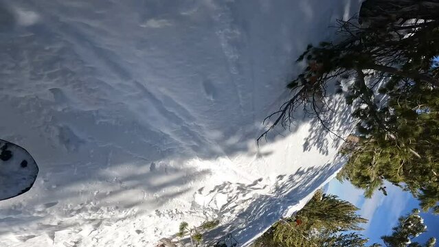 Vertical video POV of snowboarder freeriding backcountry between trees
