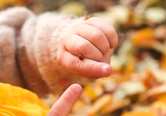 Close-up of ladybug on child hand on the blurred backround of fallen yellow leaves