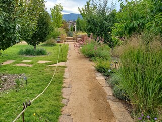 path in the garden
