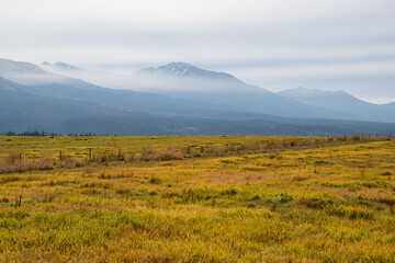 Fototapeta premium 秋の草原と霞がかかった高い山 