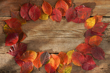 Autumn background. Frame. Copy space. Red, orange leaves from trees on a wooden background. Alder leaf.