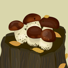Porcini. Edible mushrooms. Forest mushrooms on a stump with yellow leaves. Healthy, vegetarian food. Illustration for packing pickled mushrooms, restaurant menu, cafe, banners. Vitamins, trace element