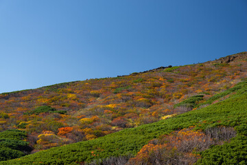 Fototapeta premium 紅葉する御嶽山