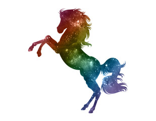 Silhouette of a horse in rainbow colors with stars, isolated, white background © Anne Mathiasz
