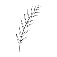 A twig of a plant and a flower with a thin line. Vector on a white background