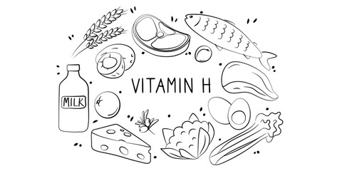 Vitamin H Biotin. Groups of healthy products containing vitamins. Set of fruits, vegetables, meats, fish and dairy.