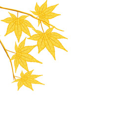 モミジのゴールドリーフのモチーフ_金色の紅葉の葉_アクリル絵の具（背景透過合成用切り抜きpng素材）