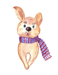 Watercolor puppy on a transparent background. Hand drawn cute dog dressed in a scarf.

