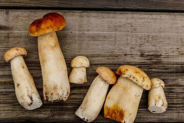 Freshly picked porcini mushrooms on rustic wooden table. Top view