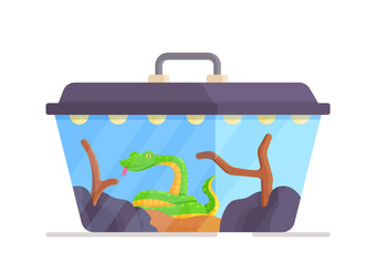 Green snake in a transparent terrarium. Vector illustration of snake house isolated on white background. Pet in a cage. 