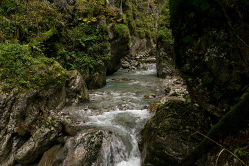 view of a little wonderfull gorge in austria