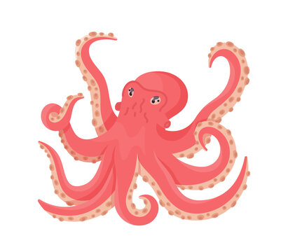 Pink octopus isolated on white background. Vector illustration of isolated octopus. Marine animal. Octopus. 