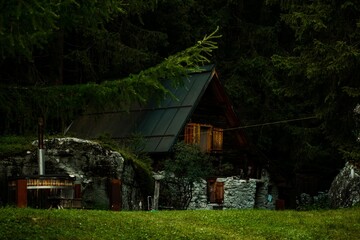 Fototapeta na wymiar wooden house in forest