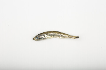 dried anchovy on white background