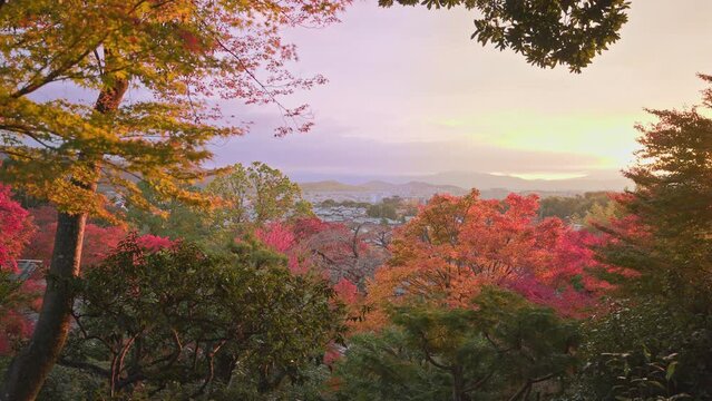 京都　秋の朝